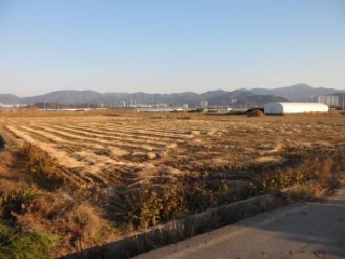 경북 고령군 다산면 답 경매 물건 사진