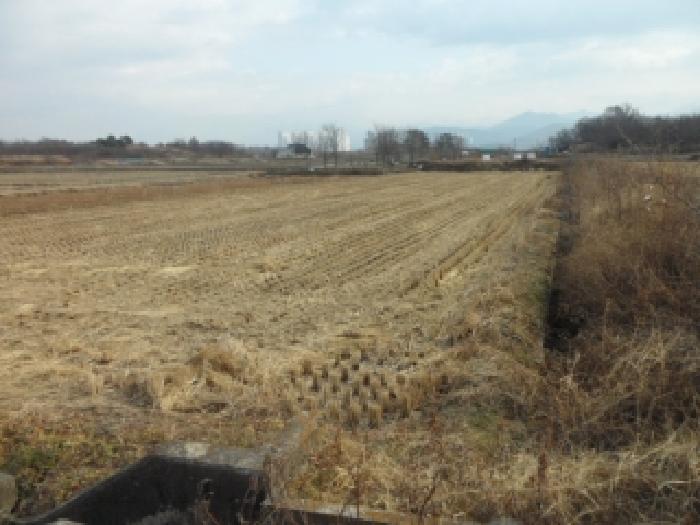 대구 달성군 옥포읍 전답 경매 물건 사진