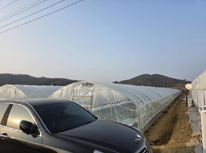 대구 달성군 하빈면 전답 경매 물건 사진