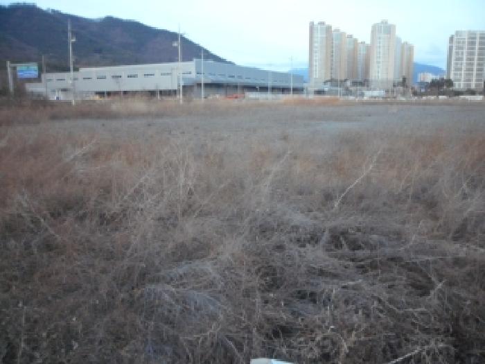 대구 달성군 구지면 공장용지 경매 물건 사진 2 · 2025타경4081
