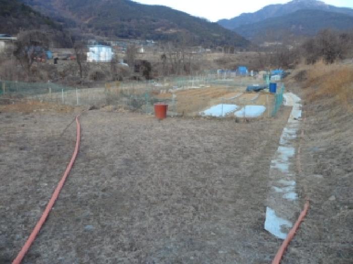 대구 달성군 유가읍 전답 경매 물건 사진