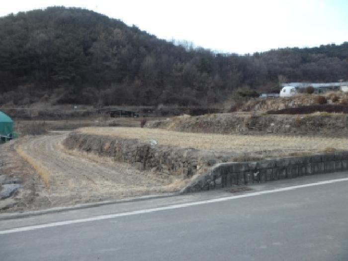 대구 달성군 유가읍 답 경매 물건 사진