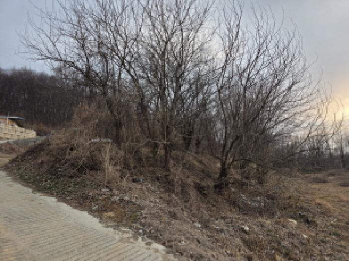 경북 성주군 월항면 전답 경매 물건 사진