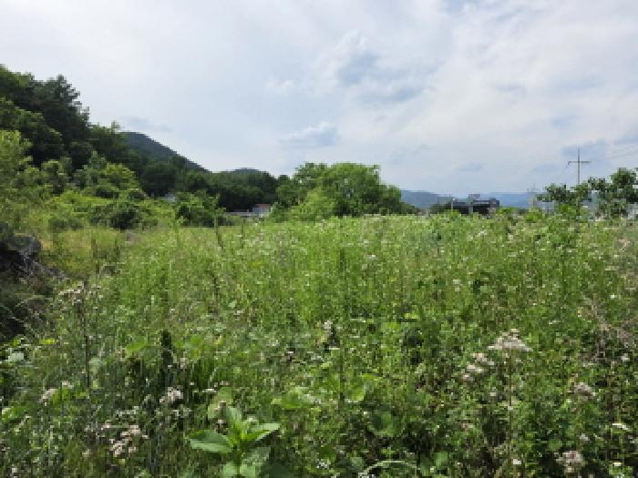 경북 성주군 수륜면 대지,임야,전답 경매 물건 사진
