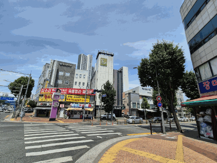 대구 서구 내당동 상가,오피스텔,근린시설 경매 물건 사진 5 · 2026타경144