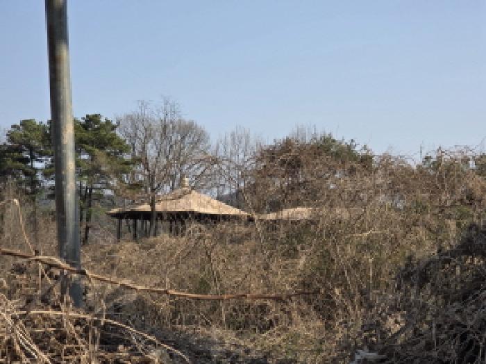 경북 성주군 용암면 창고시설 경매 물건 사진 3 · 2026타경3015
