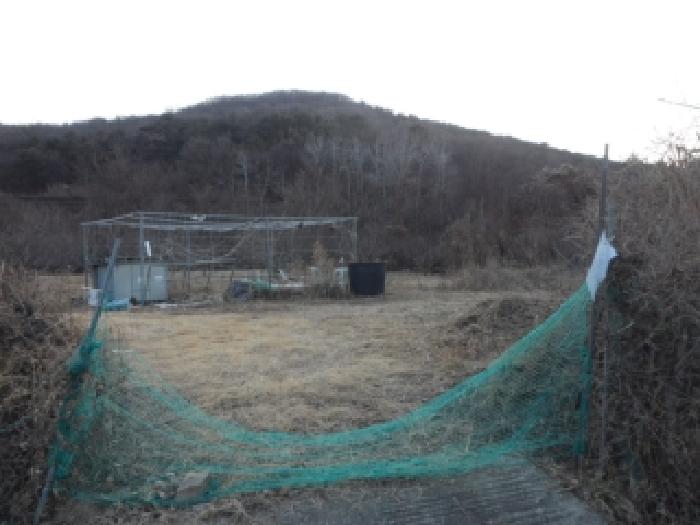 대구 달성군 화원읍 답 경매 물건 사진