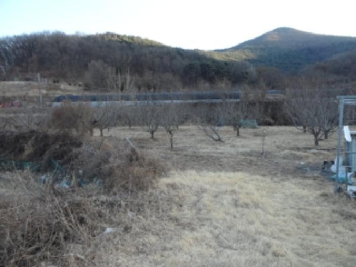 대구 달성군 화원읍 답 경매 물건 사진 2 · 2026타경3021