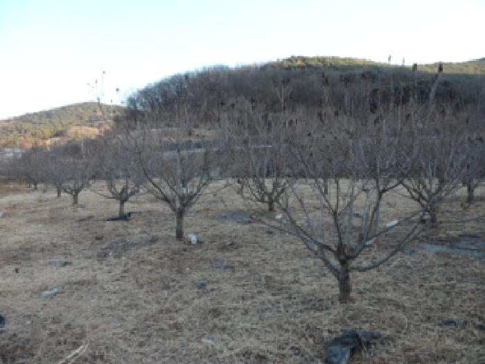대구 달성군 화원읍 답 경매 물건 사진 3 · 2026타경3021