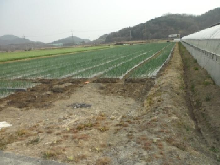대구 달성군 구지면 전답 경매 물건 사진 2 · 2026타경3058