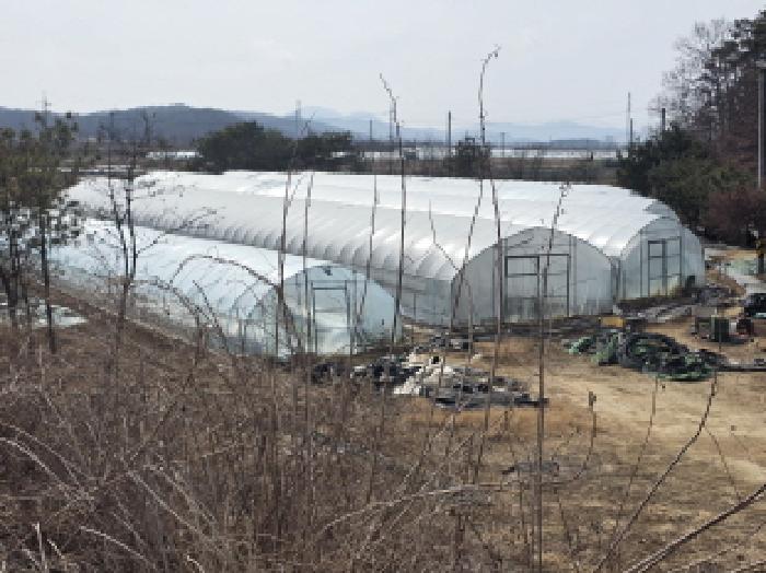 대구 달성군 하빈면 전답 경매 물건 사진