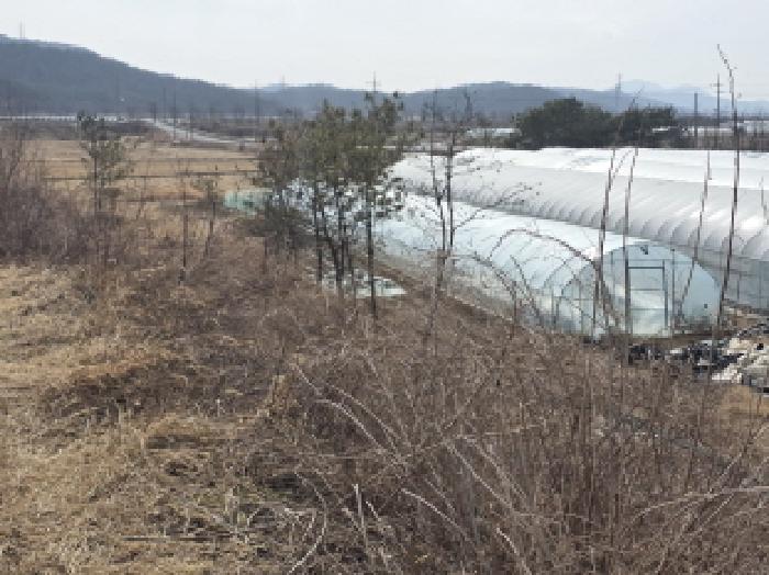 대구 달성군 하빈면 전답 경매 물건 사진 2 · 2026타경3074