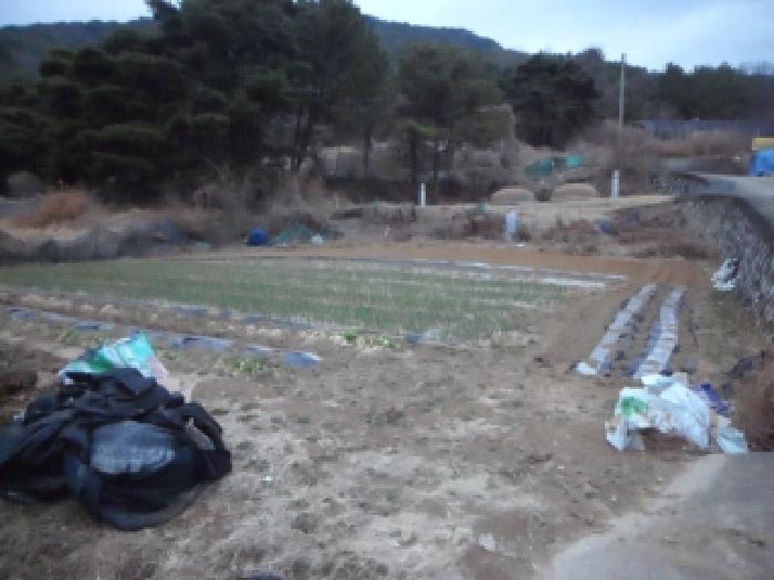 대구 달성군 논공읍 전 경매 물건 사진