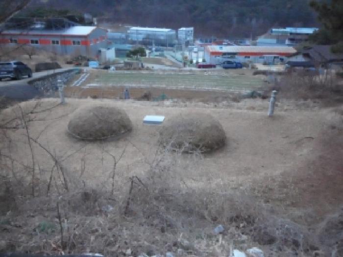 대구 달성군 논공읍 전 경매 물건 사진 2 · 2026타경3109