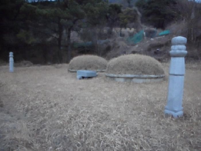 대구 달성군 논공읍 전 경매 물건 사진 3 · 2026타경3109