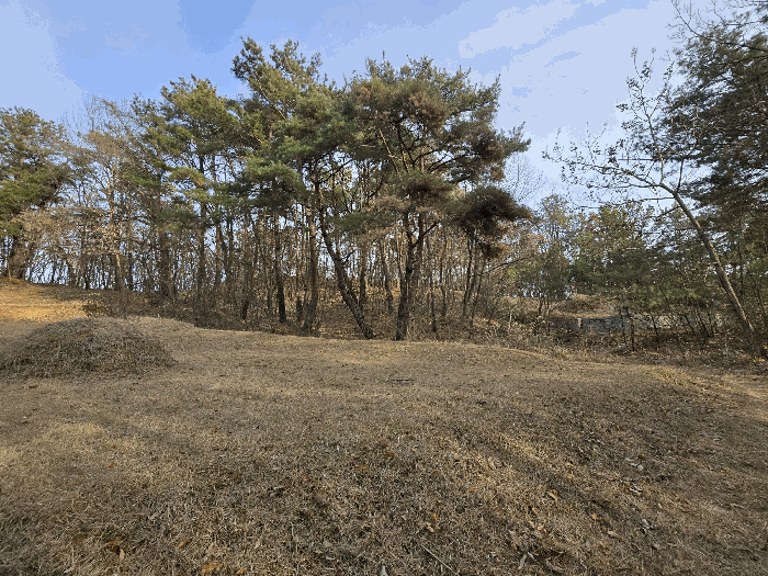 경북 성주군 선남면 임야 경매 물건 사진 6 · 2026타경3112