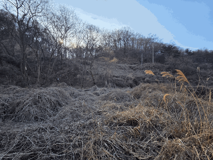 경북 성주군 수륜면 전답 경매 물건 사진 6 · 2026타경3122