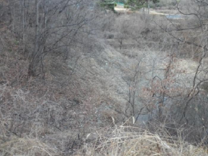 경북 고령군 성산면 답 경매 물건 사진