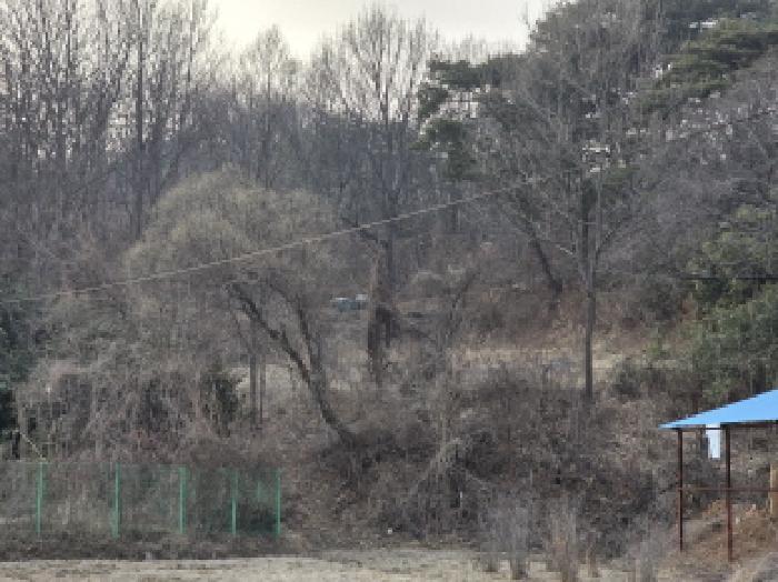 경북 성주군 벽진면 전답 경매 물건 사진