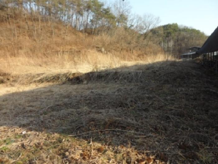 경북 고령군 쌍림면 대지,임야,전답 경매 물건 사진
