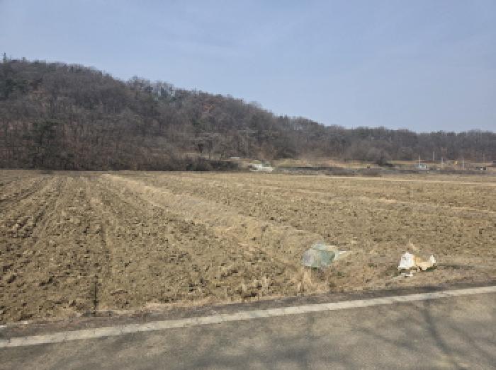 대구 달성군 다사읍 답 경매 물건 사진