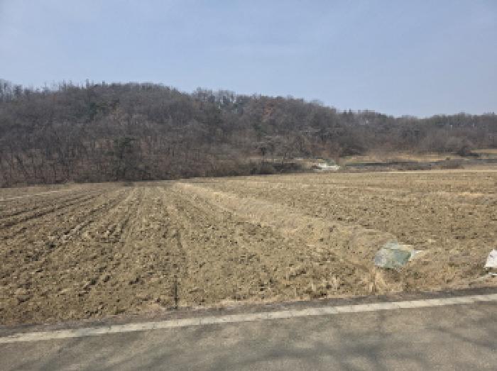 대구 달성군 다사읍 답 경매 물건 사진 2 · 2026타경3182