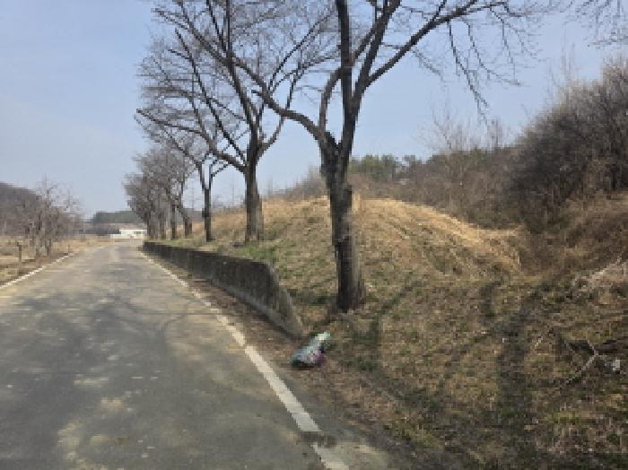대구 달성군 다사읍 답 경매 물건 사진 3 · 2026타경3182