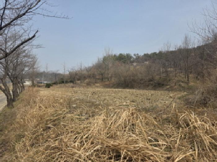 대구 달성군 다사읍 답 경매 물건 사진 4 · 2026타경3182