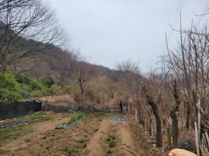 대구 달성군 가창면 답 경매 물건 사진 3 · 2026타경3187