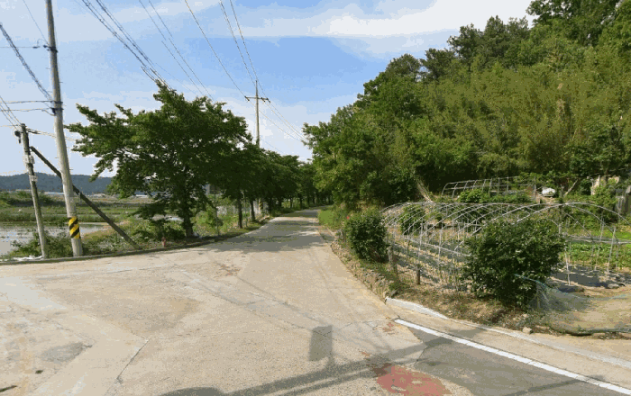 대구 달성군 하빈면 대지 경매 물건 사진 5 · 2026타경3192