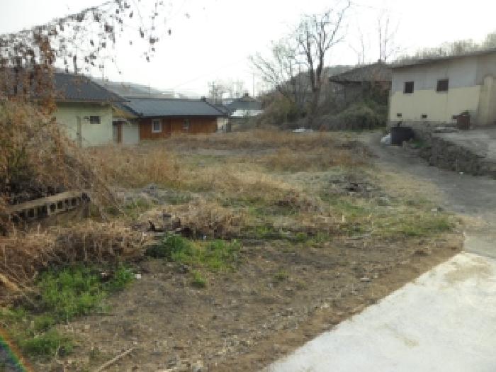 대구 달성군 구지면 대지 경매 물건 사진
