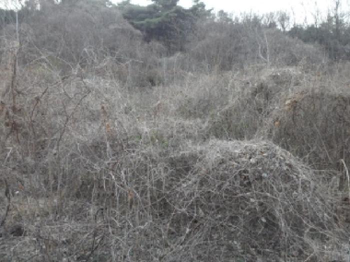 경북 고령군 우곡면 전답 경매 물건 사진 5 · 2026타경3247