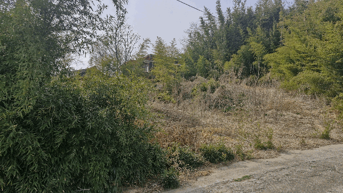경북 성주군 선남면 대지 경매 물건 사진 6 · 2026타경3251