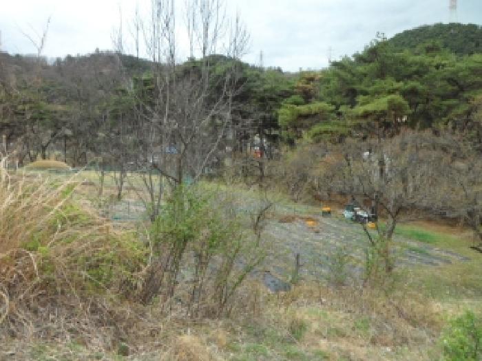경북 고령군 개진면 전답 경매 물건 사진