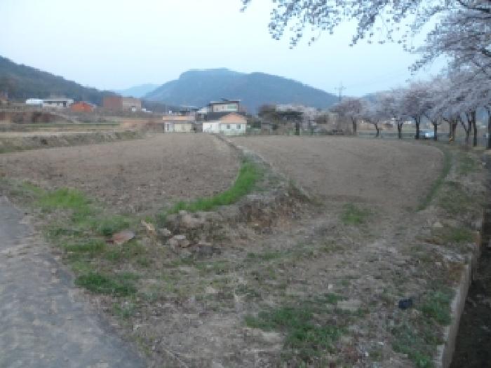 대구 달성군 유가읍 전답 경매 물건 사진