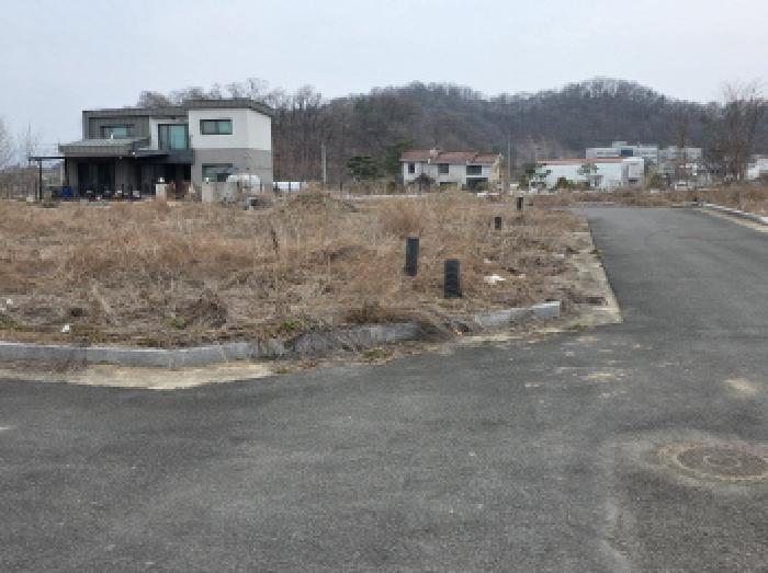 경북 성주군 성주읍 전답 경매 물건 사진