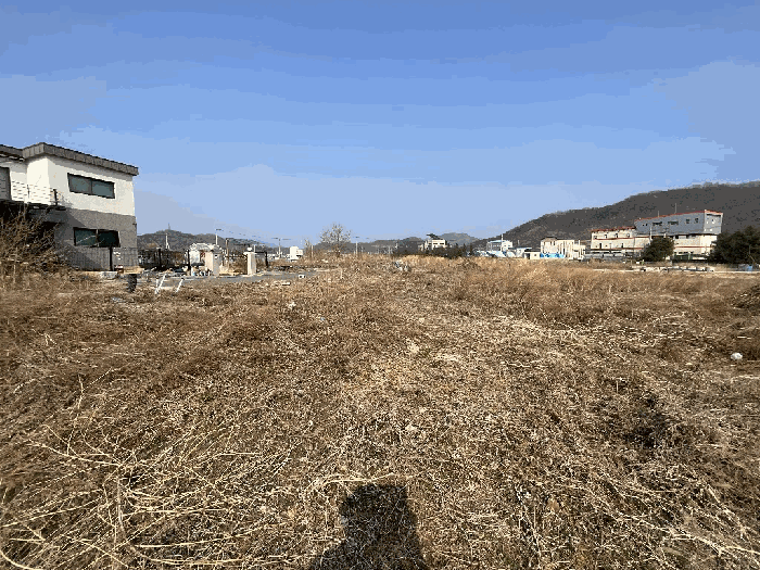 경북 성주군 성주읍 전 경매 물건 사진 5 · 2026타경3279
