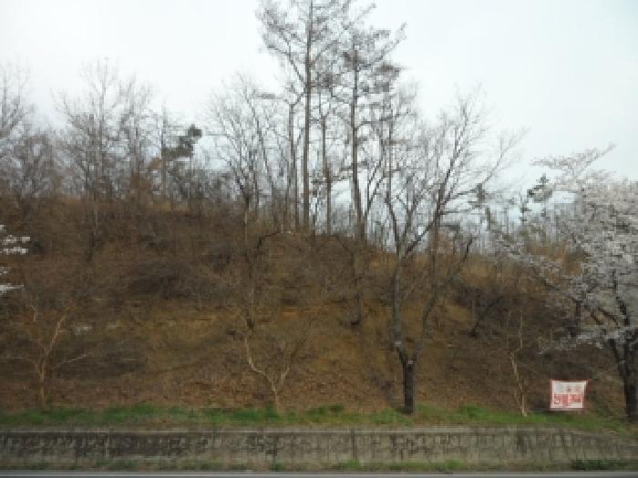 대구 달성군 구지면 임야 경매 물건 사진 3 · 2026타경3340