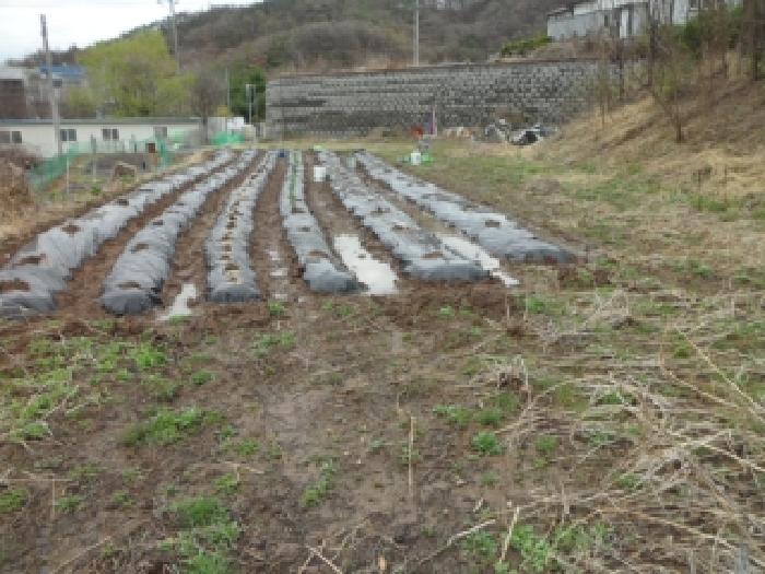 경북 고령군 다산면 대지,임야,전답 경매 물건 사진 2 · 2026타경3363