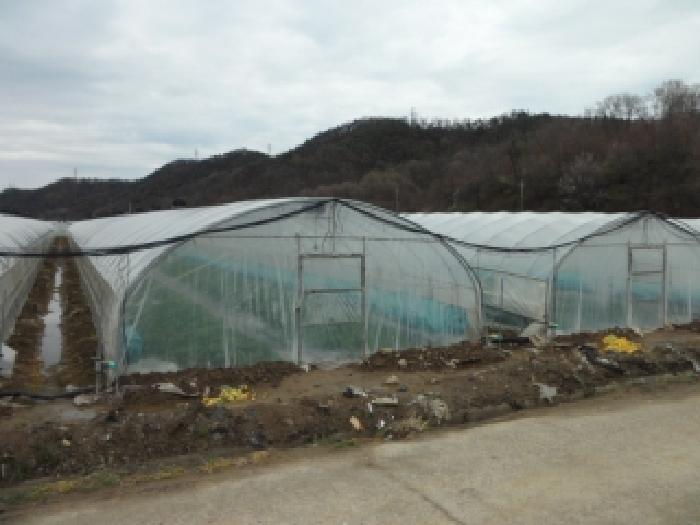 경북 고령군 다산면 대지,임야,전답 경매 물건 사진 4 · 2026타경3363