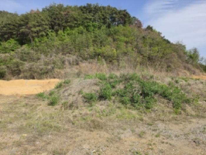 경북 성주군 용암면 임야 경매 물건 사진 6 · 2026타경3426