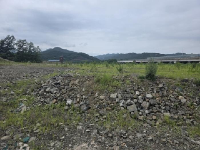 경북 고령군 성산면 임야 경매 물건 사진 2 · 2026타경3510