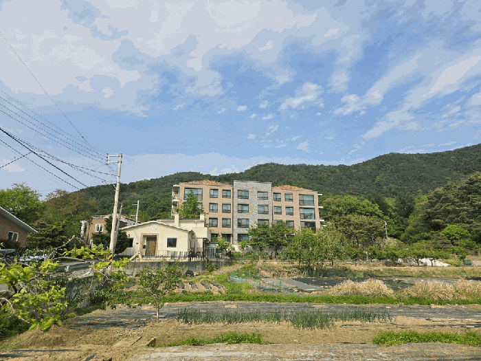 대구 달성군 가창면 연립주택,다세대,빌라 경매 물건 사진 5 · 2026타경3567
