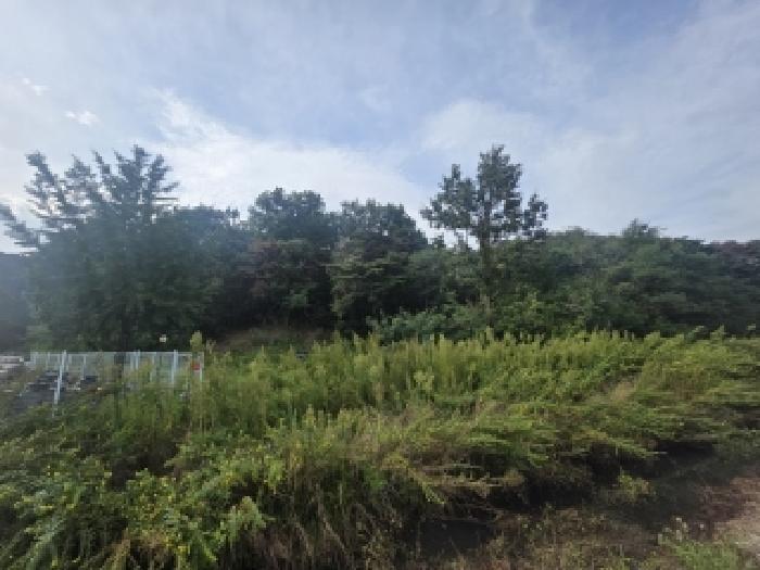 경북 고령군 운수면 임야 경매 물건 사진 2 · 2026타경3576