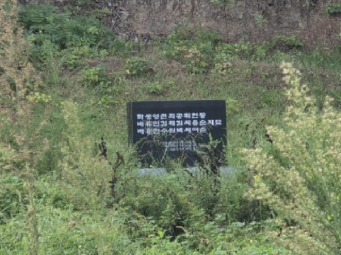 경북 고령군 운수면 임야 경매 물건 사진 3 · 2026타경3576
