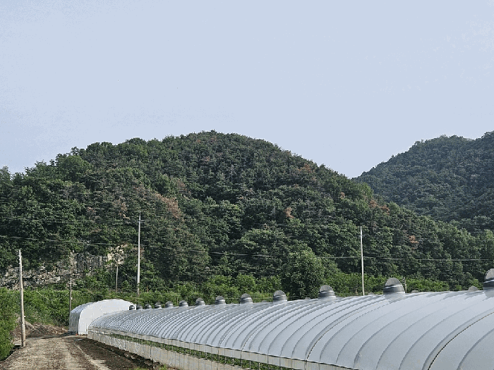 경북 성주군 용암면 임야 경매 물건 사진 3 · 2026타경3619