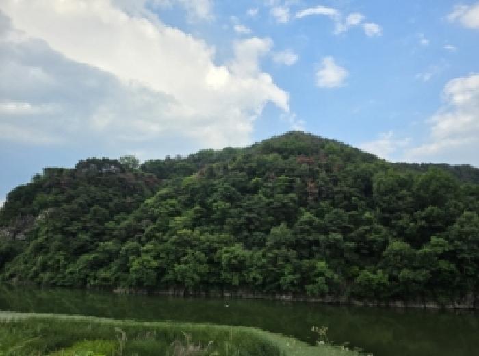 경북 성주군 용암면 임야 경매 물건 사진
