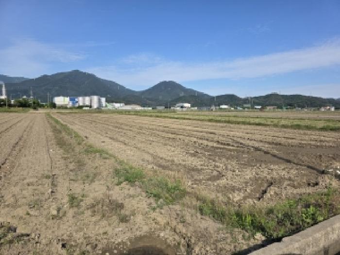 대구 달성군 현풍읍 대지,임야,전답 경매 물건 사진