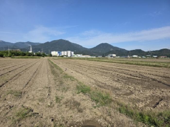 대구 달성군 현풍읍 대지,임야,전답 경매 물건 사진 2 · 2026타경3633