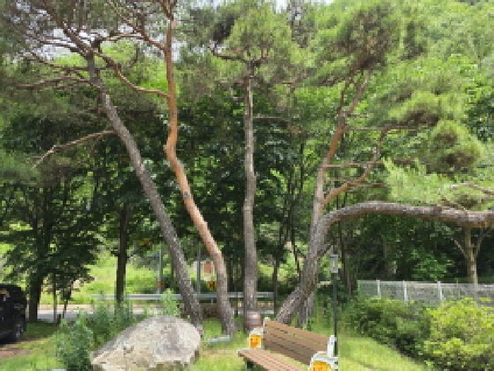 경북 성주군 금수강산면 상가,오피스텔,근린시설 경매 물건 사진 2 · 2026타경3717